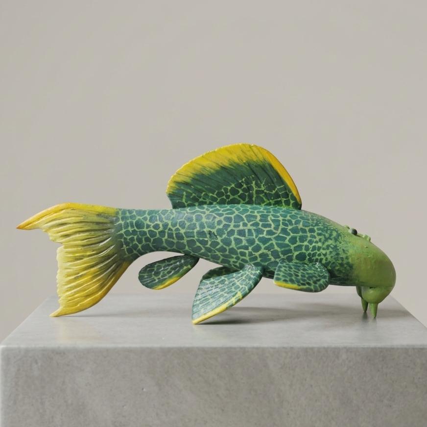 Pleco